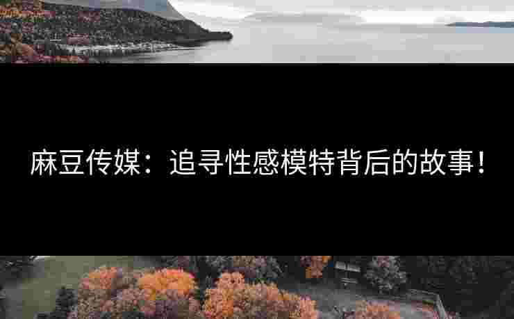 麻豆传媒：追寻性感模特背后的故事！